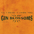 til i hear it from you guitar tab gin blossoms