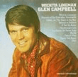 wichita lineman clarinet solo glen campbell