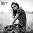 wings piano, vocal & guitar chords birdy