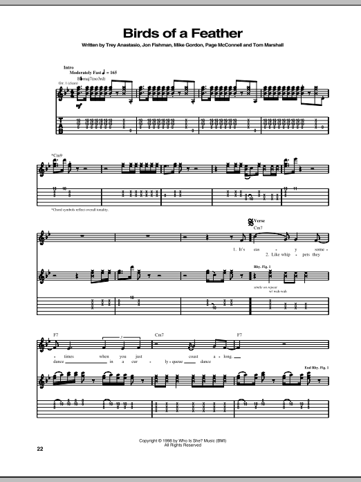 Birds Of A Feather (Guitar Tab) von Phish