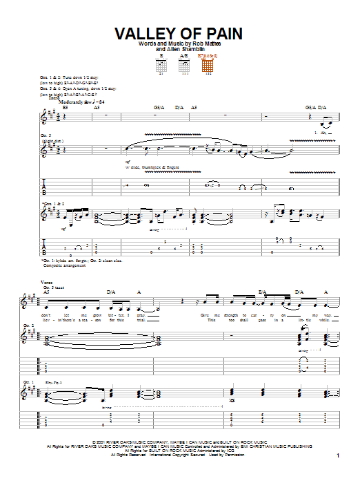 Valley Of Pain (Guitar Tab) von Allen Shamblin