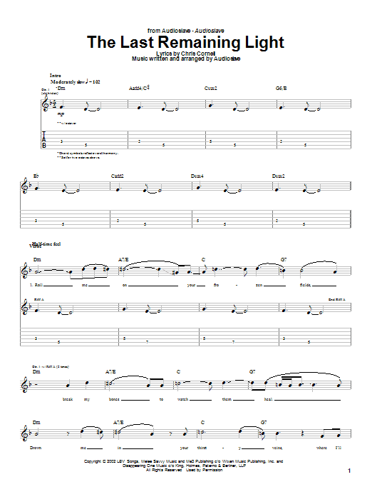 The Last Remaining Light (Guitar Tab) von Audioslave