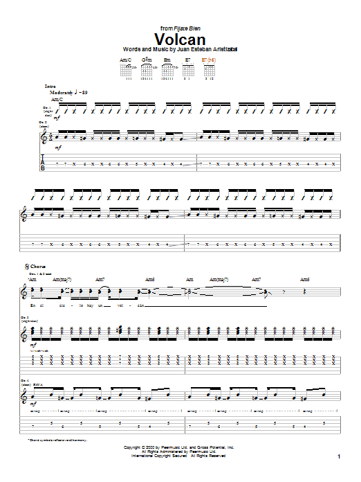 Volcan (Guitar Tab) von Juanes