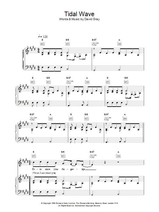 Tidal Wave (Piano, Vocal & Guitar Chords) von David Gray