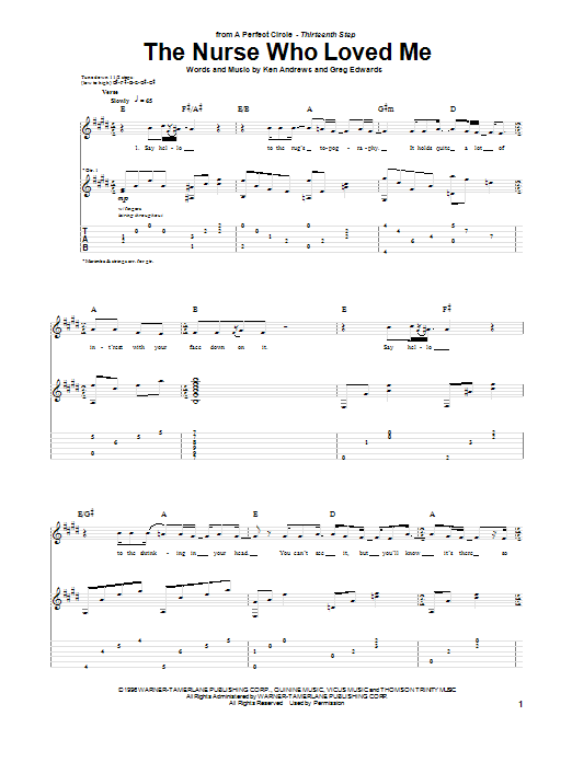 The Nurse Who Loved Me (Guitar Tab) von A Perfect Circle