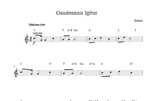 Gaudeamus Igitur (Lead Sheet / Fake Book) von Johannes Brahms