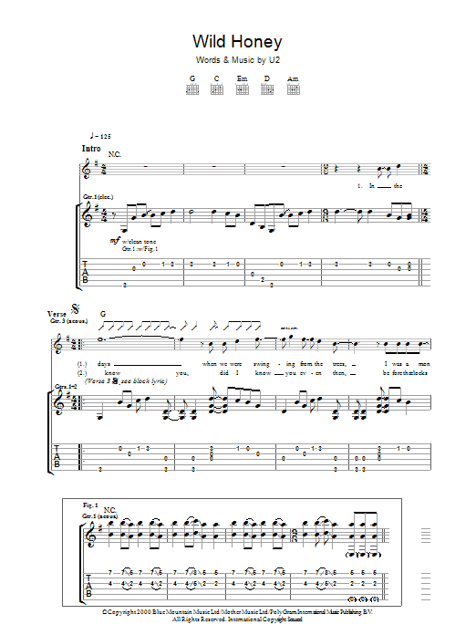 Wild Honey (Guitar Tab) von U2