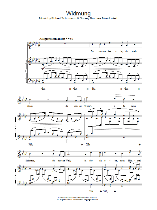 Widmung (Piano, Vocal & Guitar Chords) von Robert Schumann