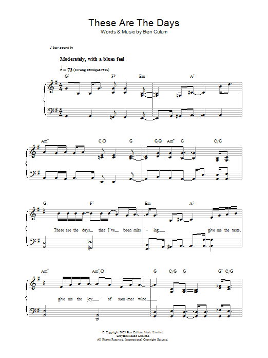 These Are The Days (Piano, Vocal & Guitar Chords) von Jamie Cullum