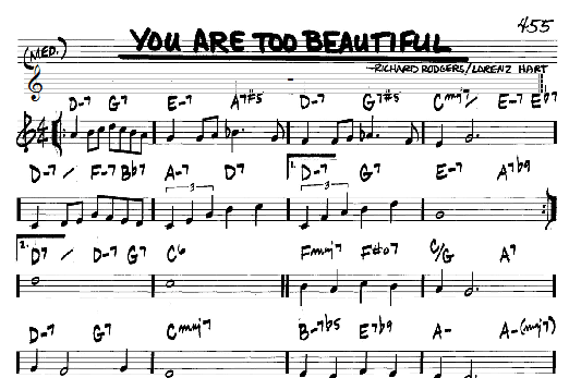 You Are Too Beautiful (Real Book  Melody & Chords  C Instruments) von Rodgers & Hart