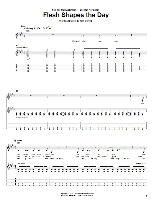 Flesh Shapes The Day (Guitar Tab) von The Nightwatchman