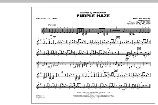 Purple Haze - Bb Horn/Flugelhorn (Marching Band) von Jay Bocook