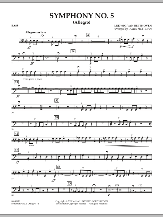 Symphony No. 5 (Allegro) - Bass (Orchestra) von Jamin Hoffman