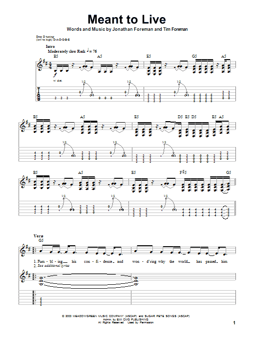 Meant To Live (Guitar Tab (Single Guitar)) von Switchfoot