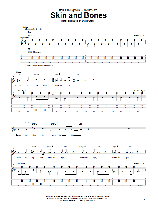 Skin And Bones (Guitar Tab) von Foo Fighters