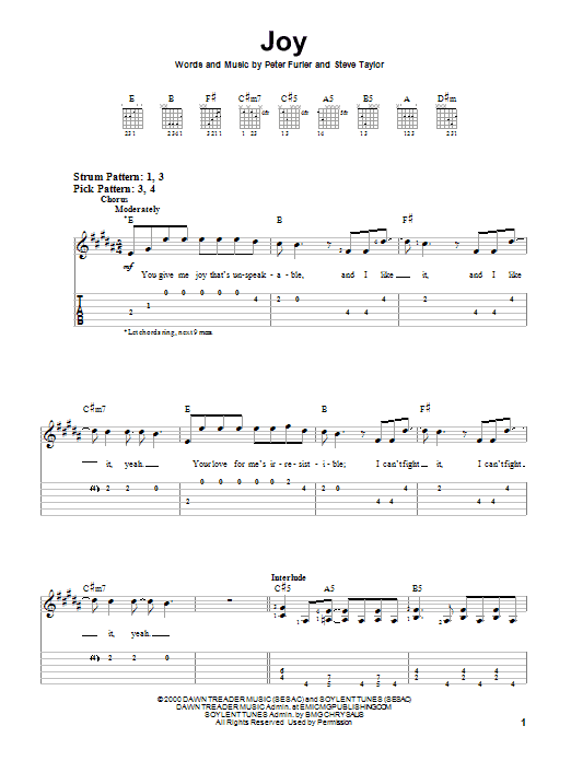 Joy (Guitar Tab) von Peter Furler