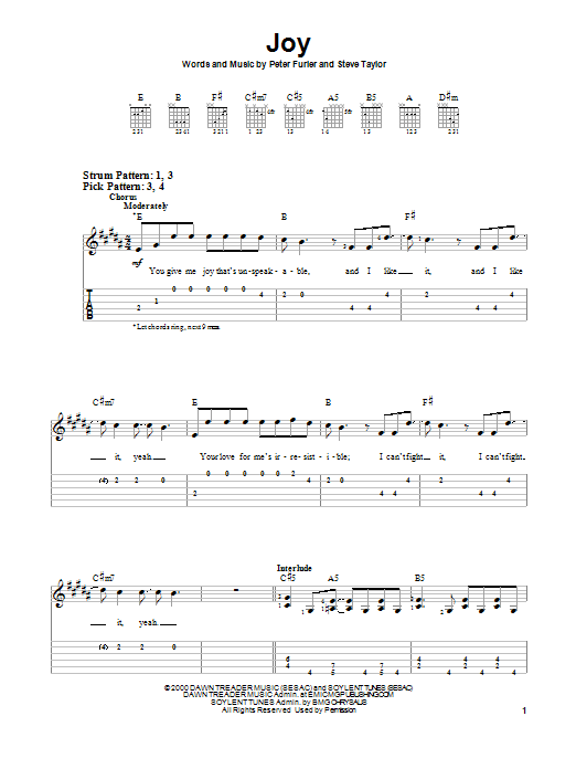 Joy (Easy Guitar) von Peter Furler