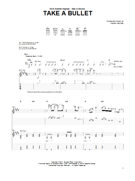 Take A Bullet (Guitar Tab) von Warren Haynes