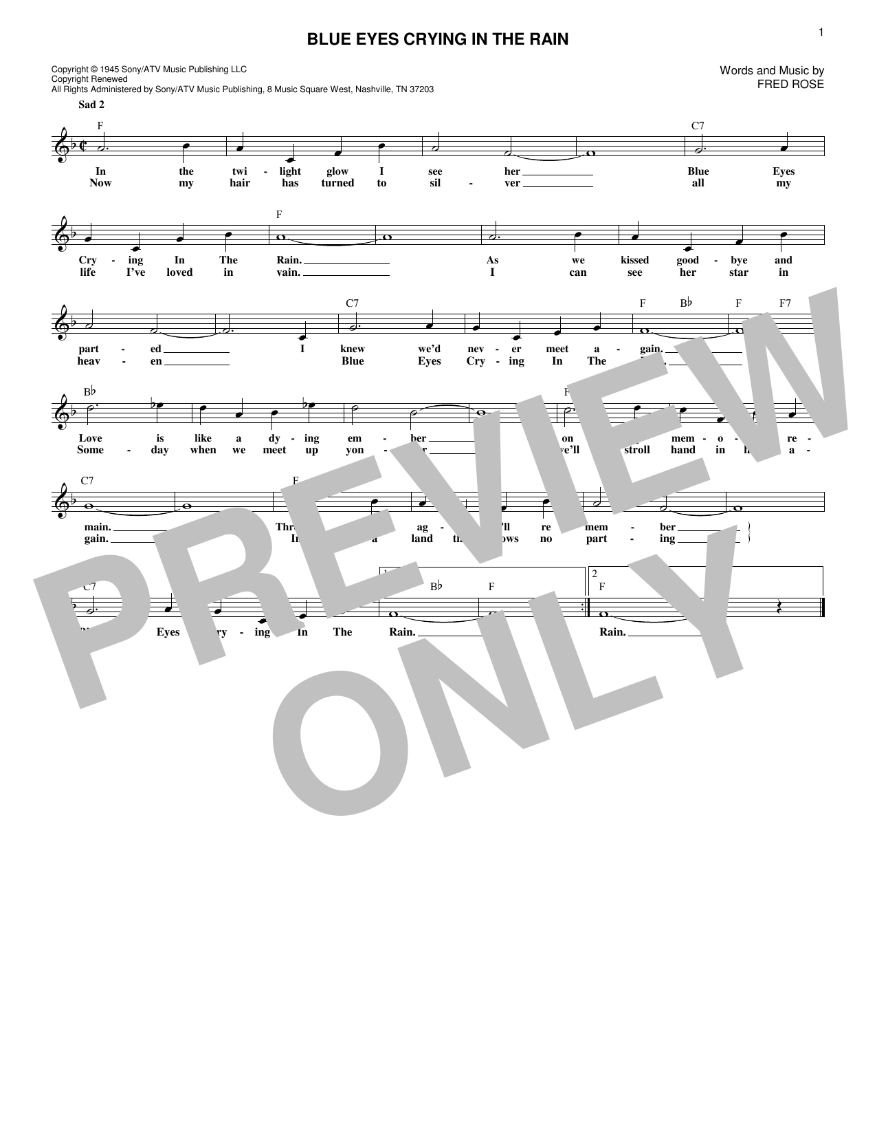 Blue Eyes Crying In The Rain (Lead Sheet / Fake Book) von Willie Nelson