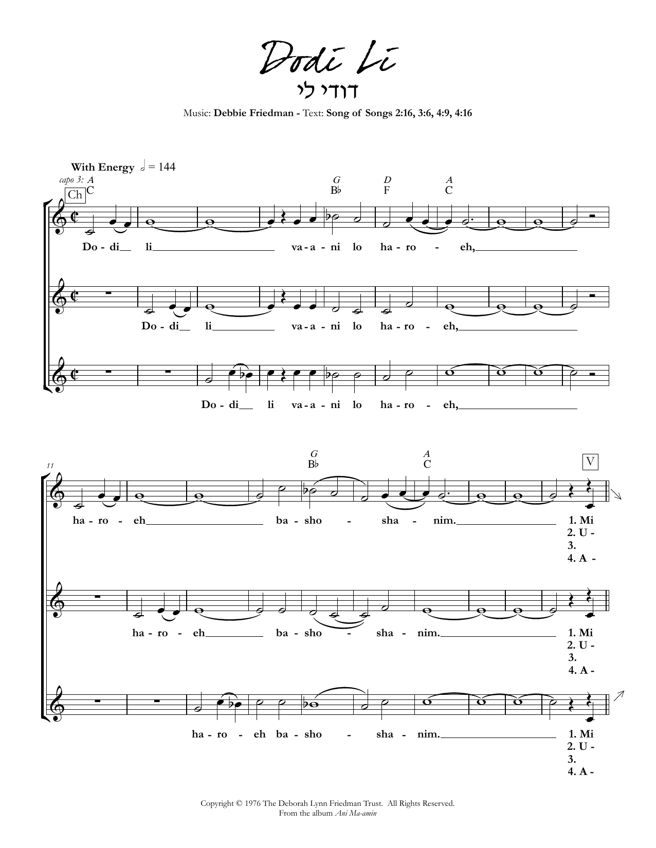 Dodi Li (Lead Sheet / Fake Book) von Debbie Friedman