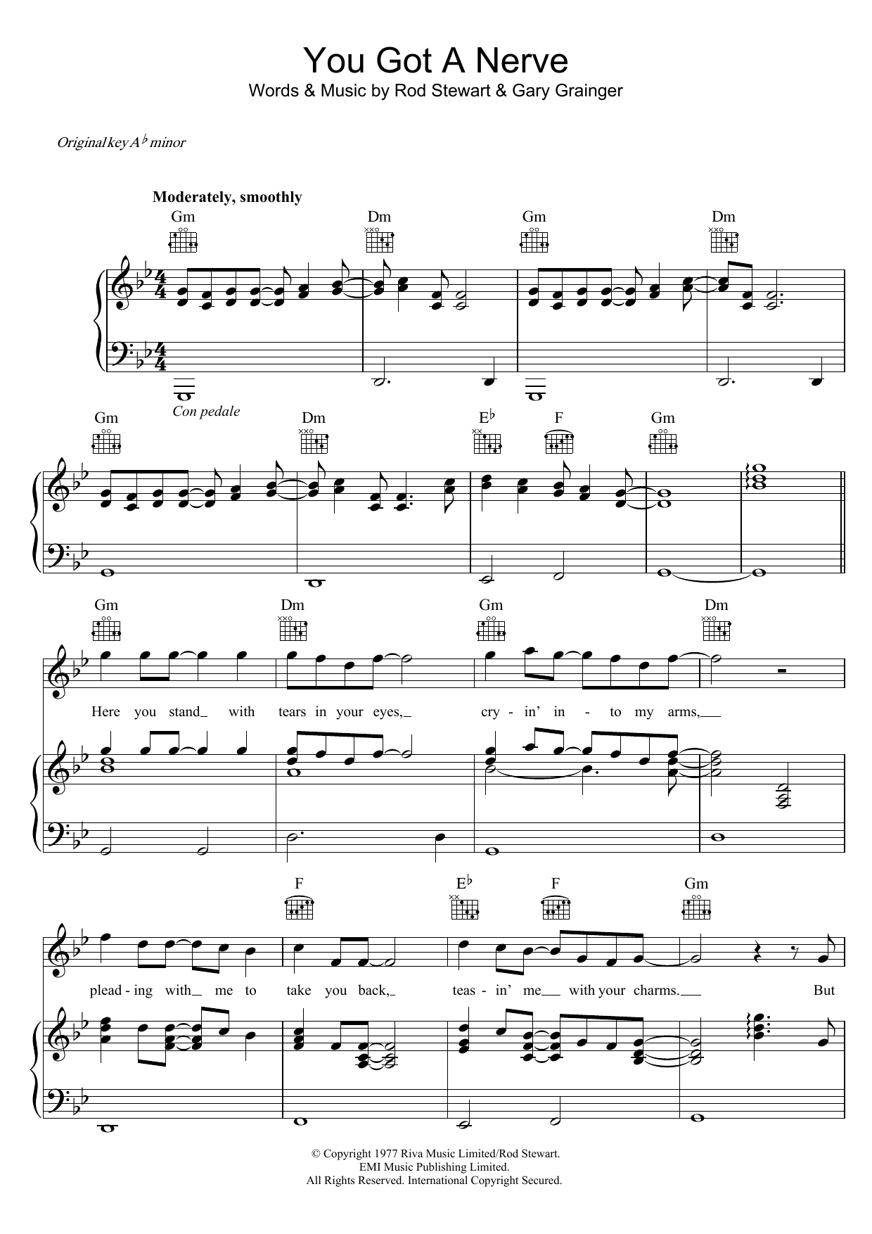 You Got A Nerve (Piano, Vocal & Guitar Chords) von Rod Stewart