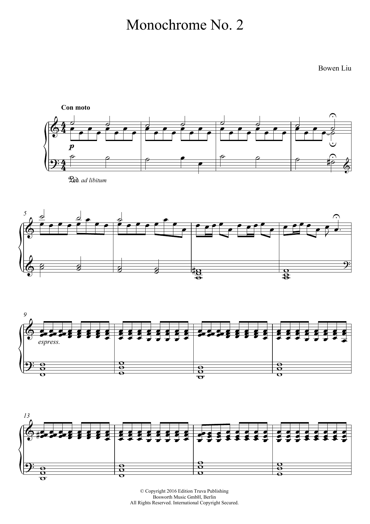 Monochrome No. 2 (Piano Solo) von Bowen Liu