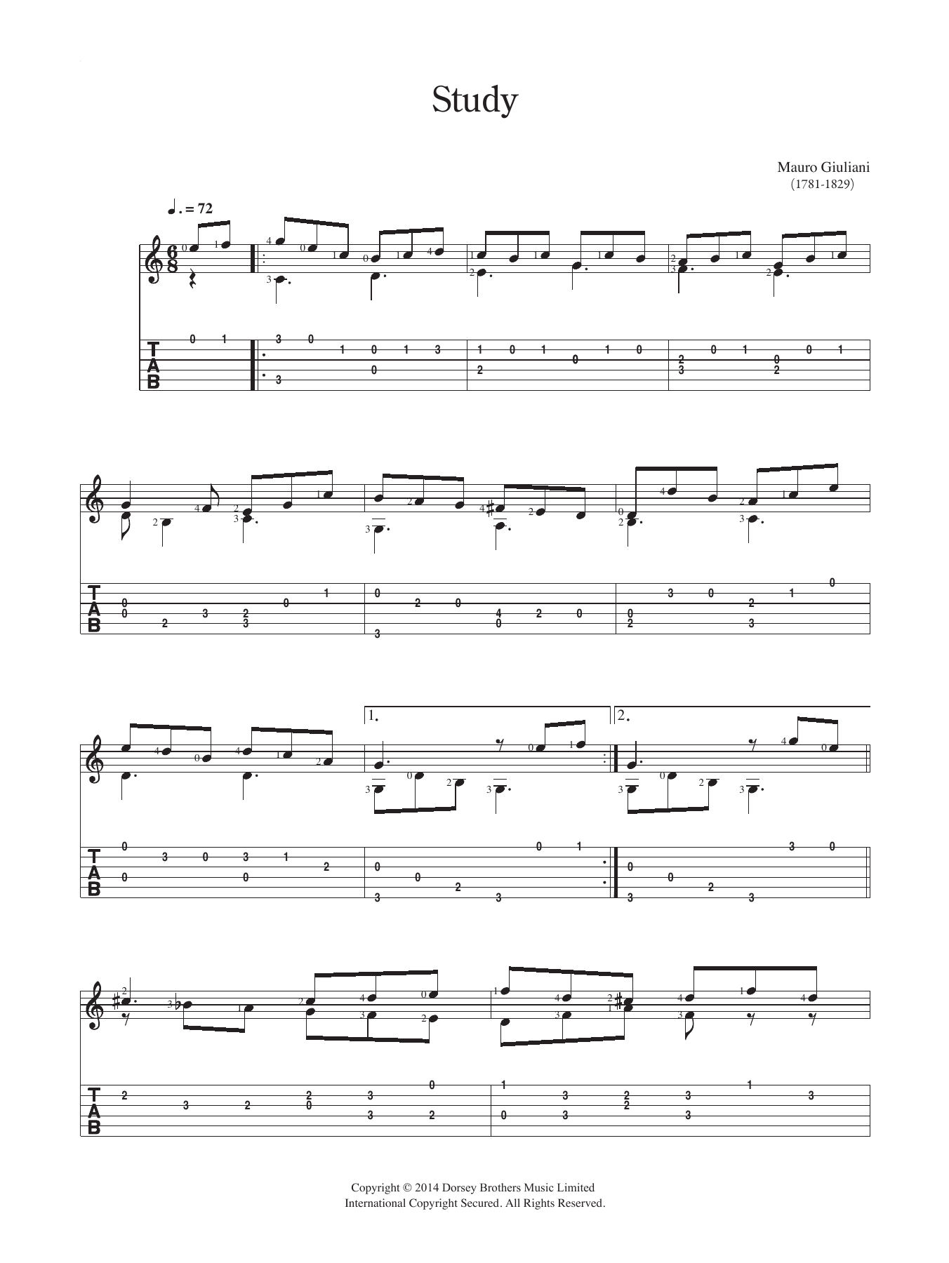 Study (Solo Guitar) von Mauro Giuliani