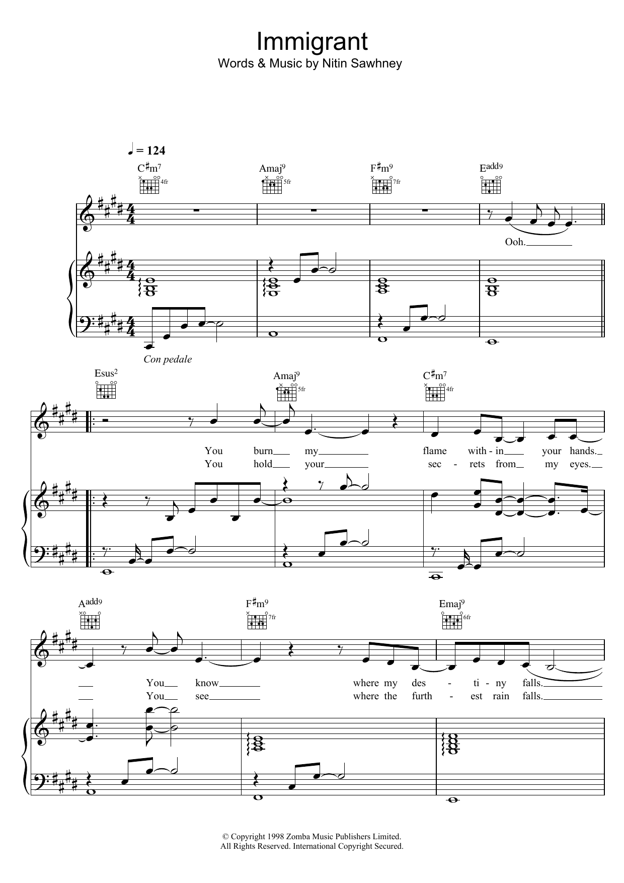 Immigrant (Piano, Vocal & Guitar Chords) von Nitin Sawhney