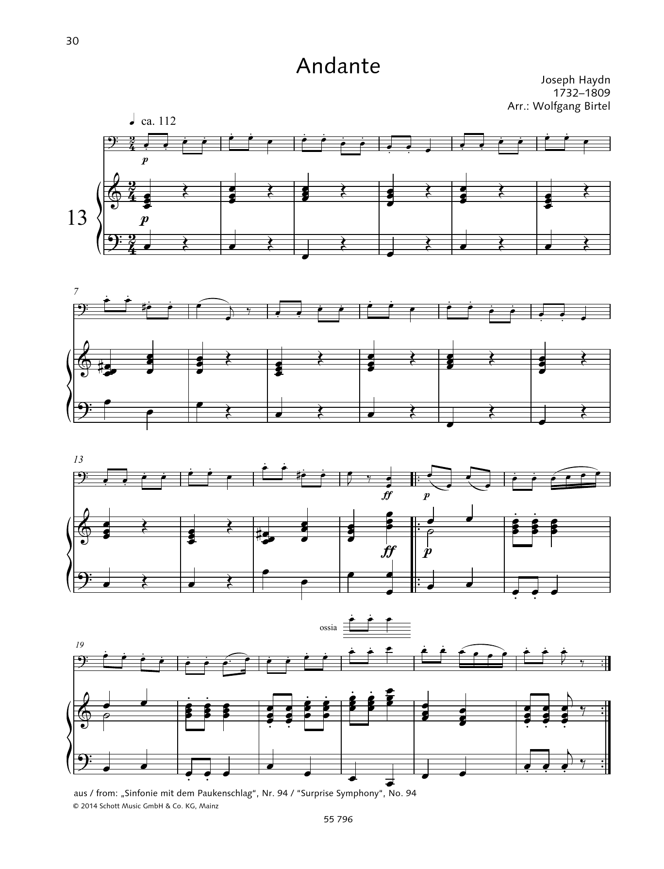 Andante (String Solo) von Joseph Haydn