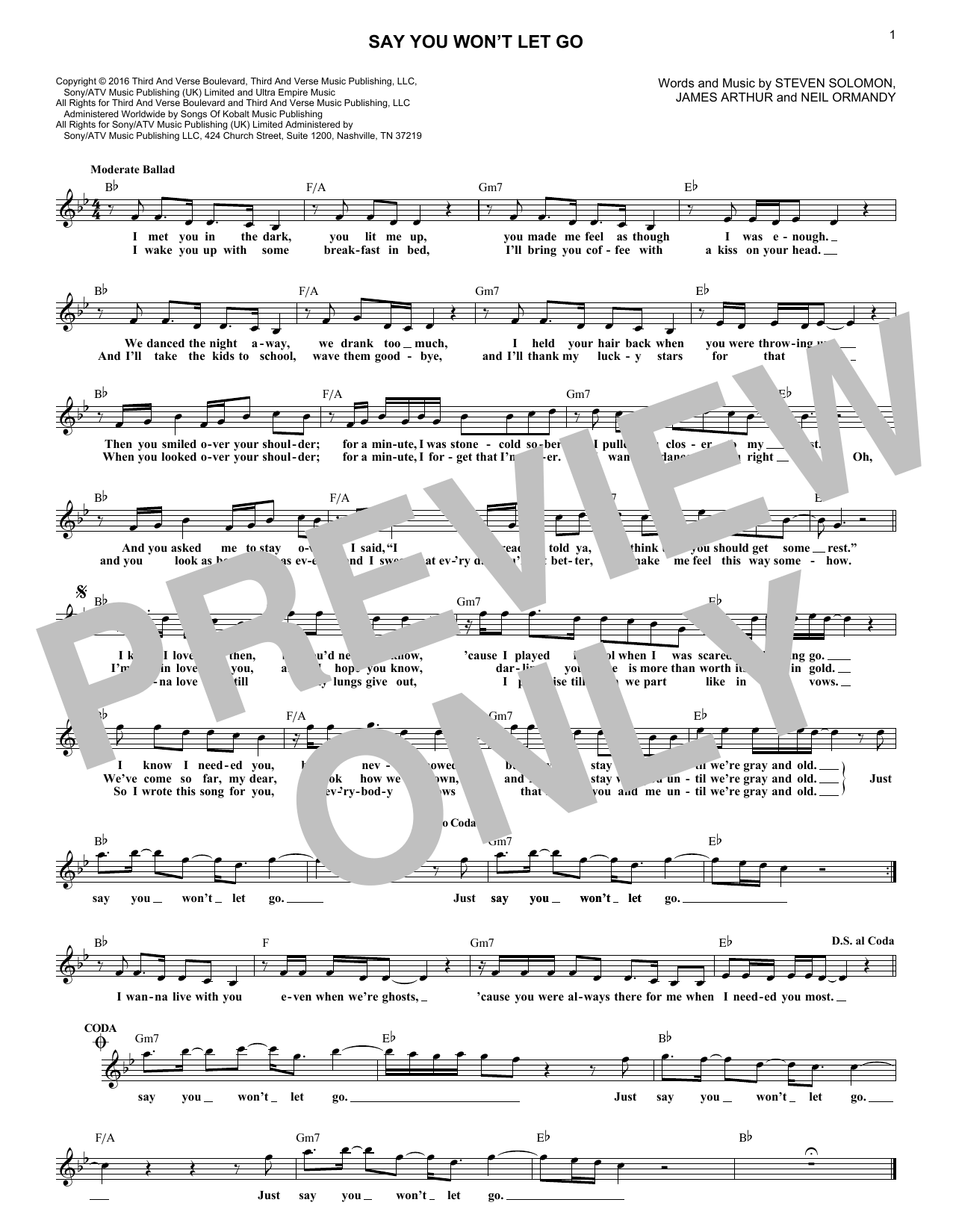 Say You Won't Let Go (Lead Sheet / Fake Book) von James Arthur