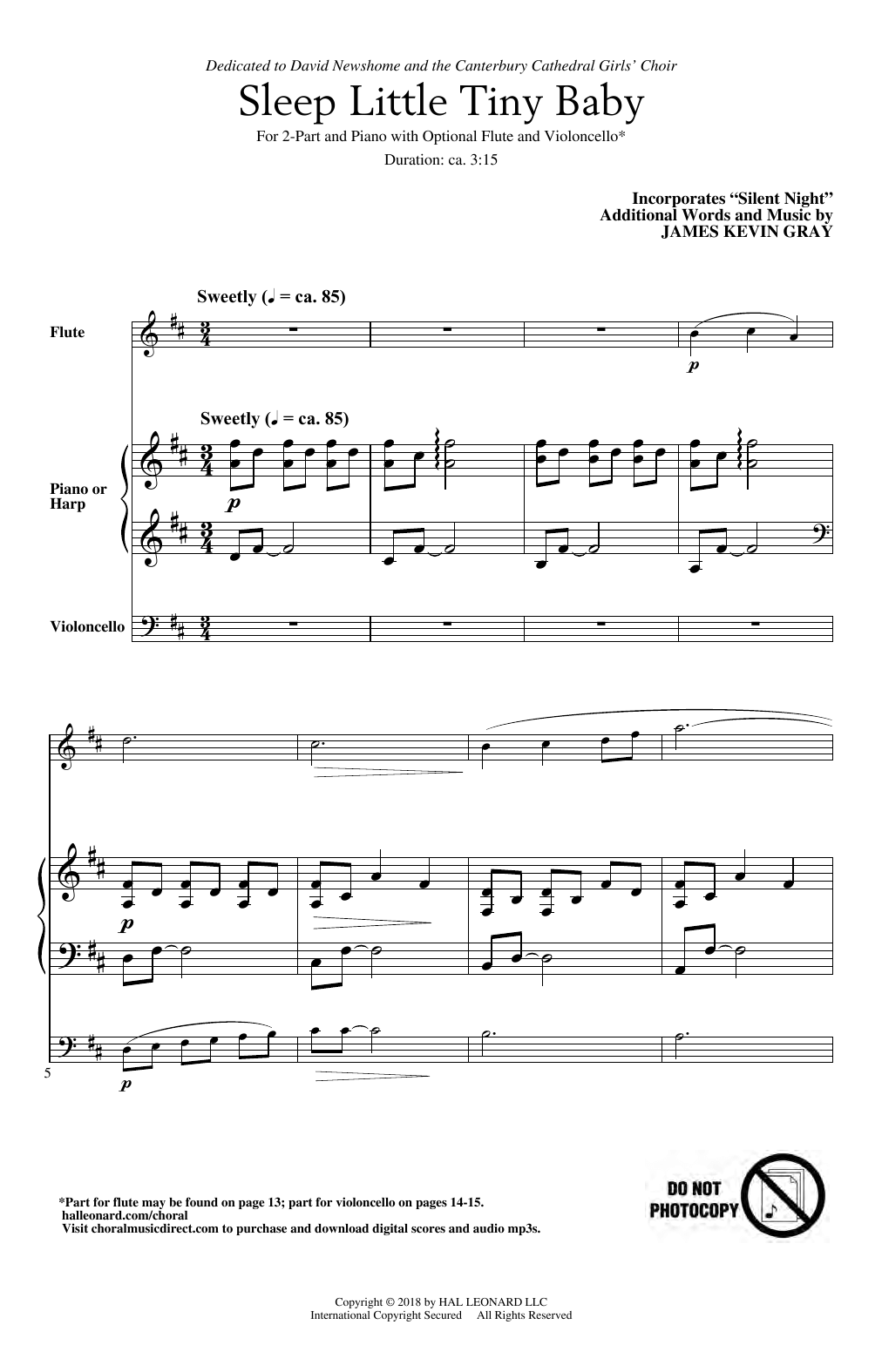 Sleep Little Tiny Baby (2-Part Choir) von James Kevin Gray