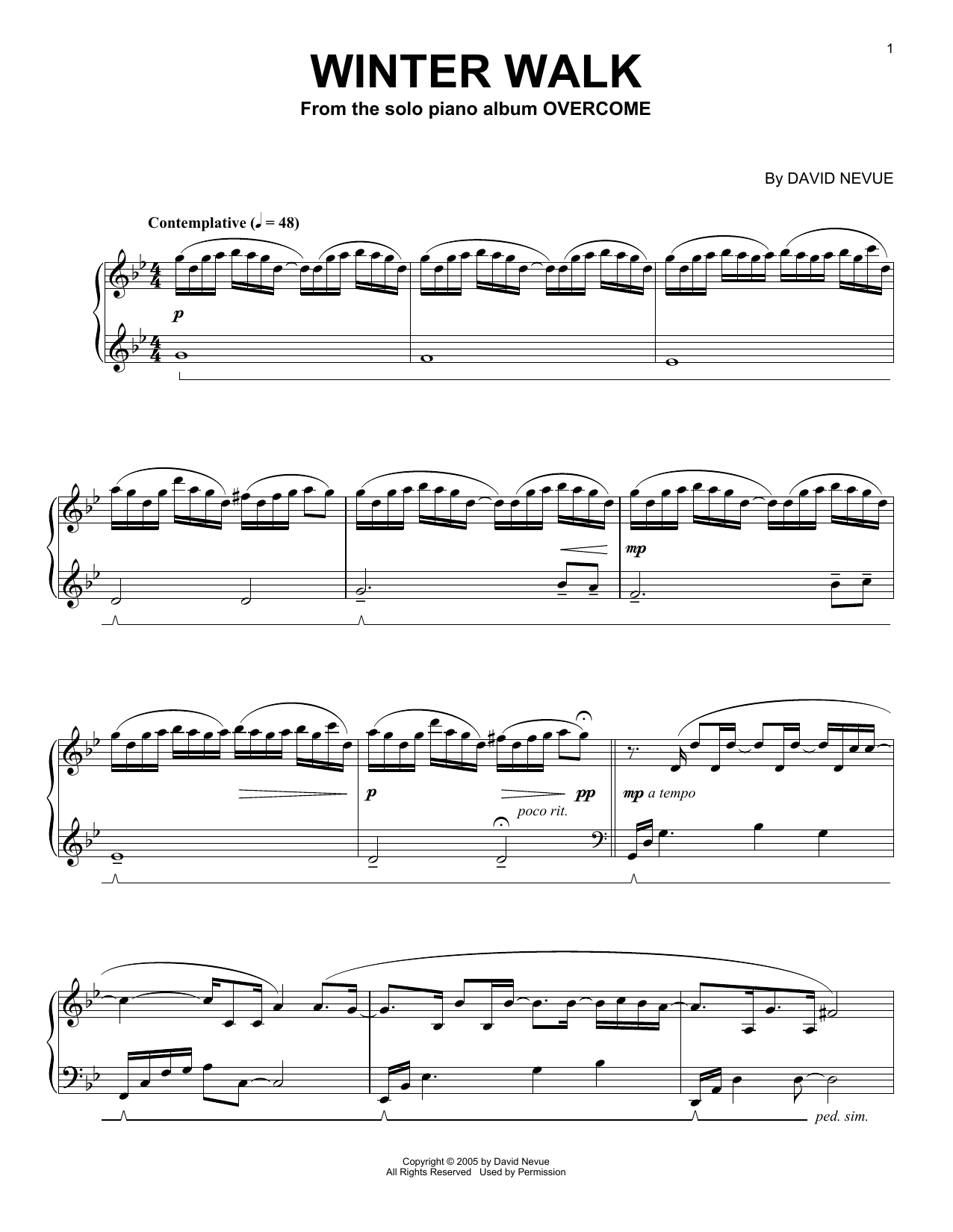 Winter Walk (Piano Solo) von David Nevue