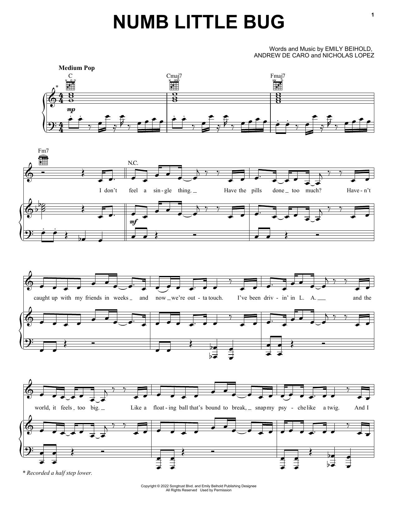 Numb Little Bug (Piano, Vocal & Guitar Chords (Right-Hand Melody)) von Em Beihold