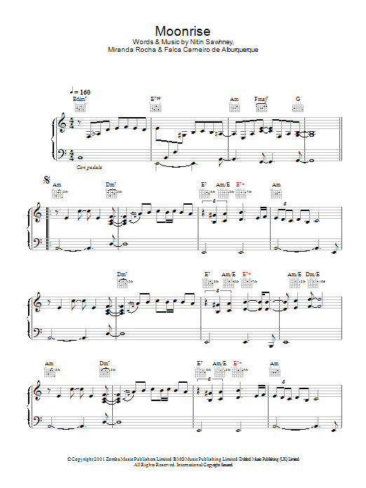 Moonrise (Piano Solo) von Nitin Sawhney