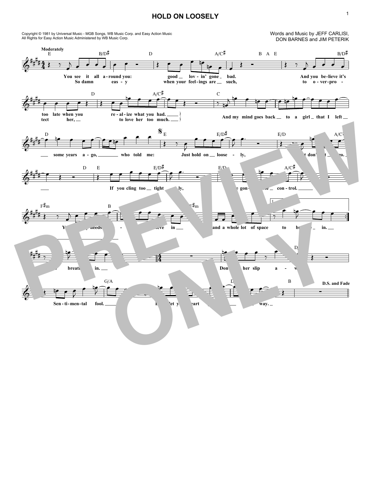 Hold On Loosely (Lead Sheet / Fake Book) von 38 Special