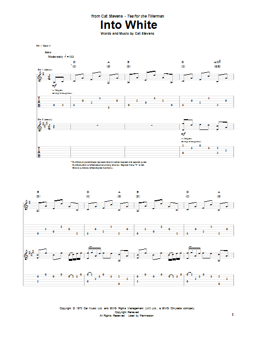 Into White (Guitar Tab) von Cat Stevens