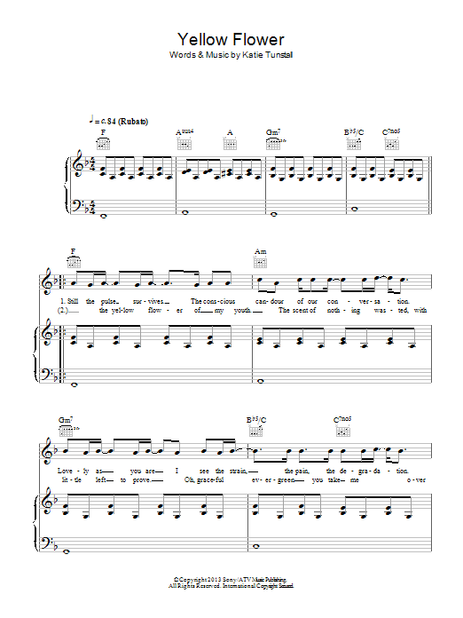 Yellow Flower (Piano, Vocal & Guitar Chords) von KT Tunstall