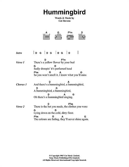 Hummingbird (Guitar Chords/Lyrics) von Cat Stevens