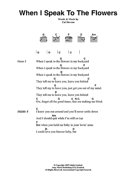 When I Speak To The Flowers (Guitar Chords/Lyrics) von Cat Stevens