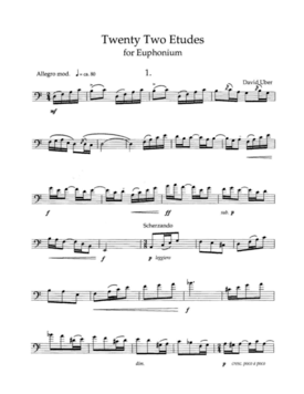 Twenty-Two Etudes 