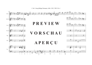 gallery: Tafelmusik-Ouvertüre-1. Teil TWV 55:e 1 , , (Gemischtes Ensemble)
