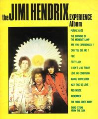 cover: Love Or Confusion, Jimi Hendrix, Gesang, Gitarre