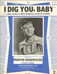 cover: I Dig You, Baby, Marvin Rainwater, Gesang, Gitarre, Klavier