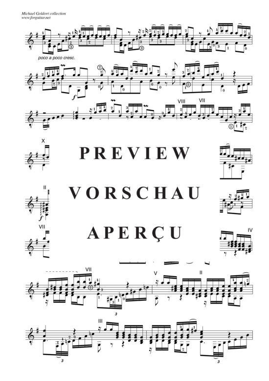 gallery: Concerto D minor, after Alessandro Marcello, BWV 974 , Goldort, Michael, (Gitarre Solo)