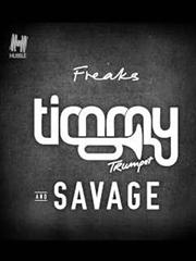 cover: Freaks, Timmy Trumpet, Gesang, Gitarre, Klavier