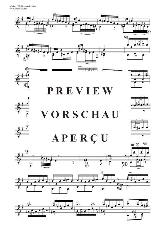 gallery: Concerto D minor, after Alessandro Marcello, BWV 974 , Goldort, Michael, (Gitarre Solo)