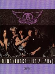 cover: Dude (Looks Like A Lady), Aerosmith, Gesang, Gitarre, Klavier