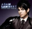 cover: Whataya want from me , Lambert, Adam, (Gesang)