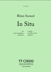 cover: In Situ, Rhian Samuel, Klavier, Saxophon