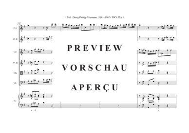 gallery: Tafelmusik-Ouvertüre-1. Teil TWV 55:e 1 , , (Gemischtes Ensemble)
